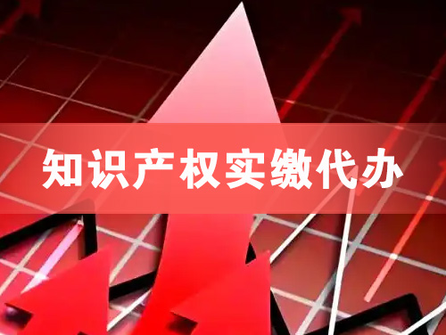 宁波知识产权实缴资本代办